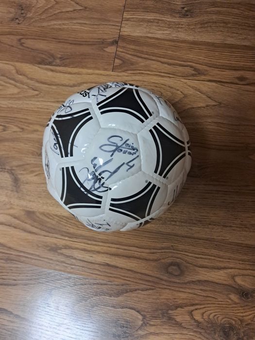 Minge semnata de jucători de la hermanstat
