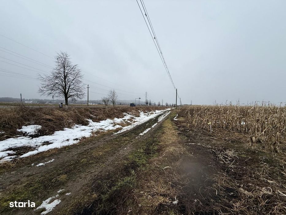 Teren extravilan | Gălănești | 7.276 mp | Front 29 m