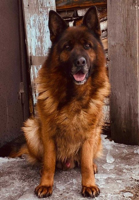 Ищем красивую невесту!!!