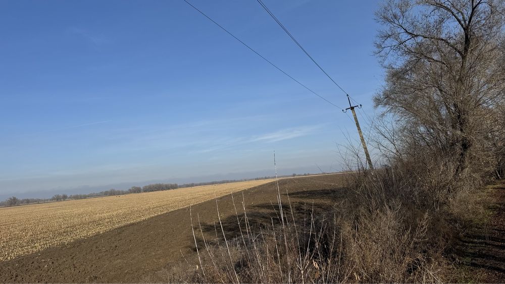 Продам крестьянское хозяйство