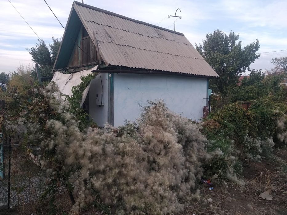 Меняю дачу Уйтас на домик Балпык би.