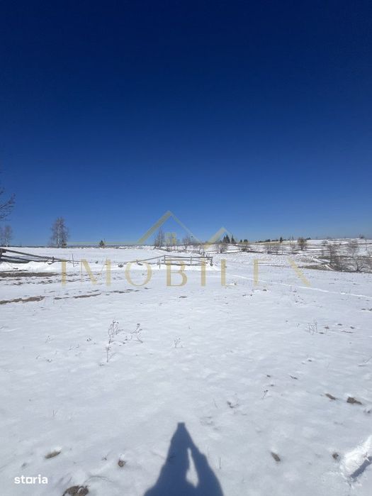 Teren in Marisel 5000 mp