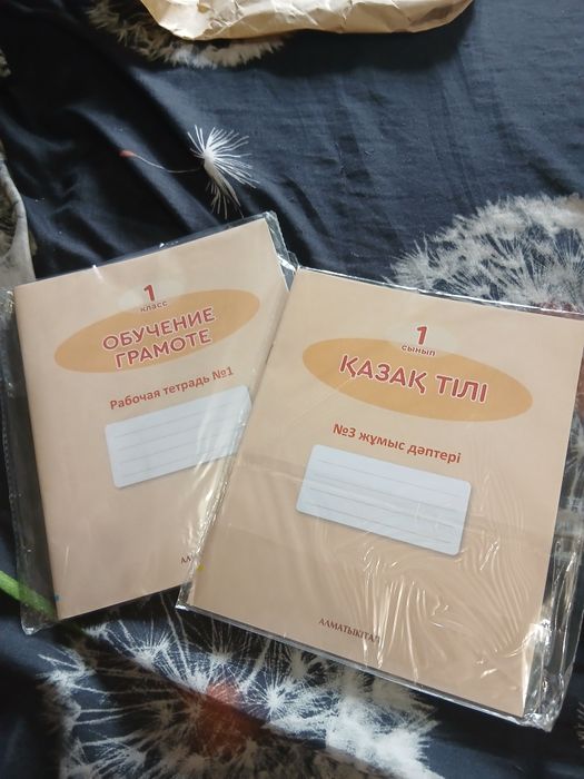 Рабочие тетради 1 класс