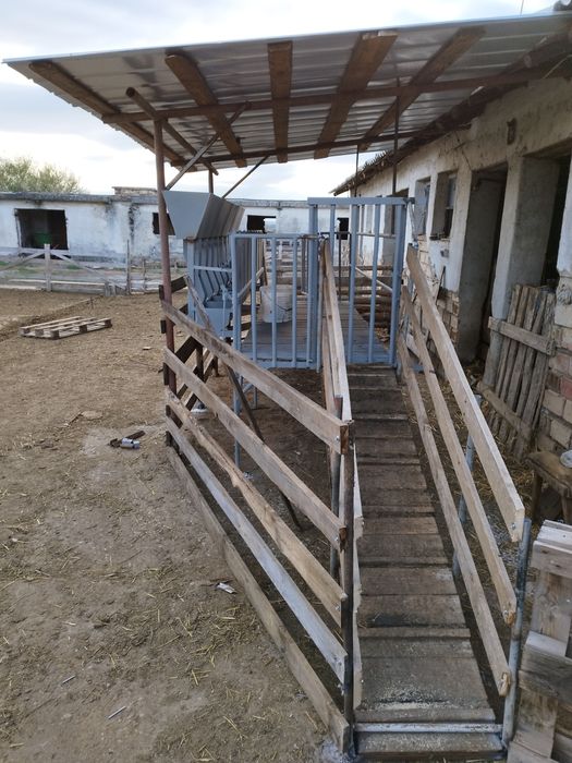 Капан за доене на овце