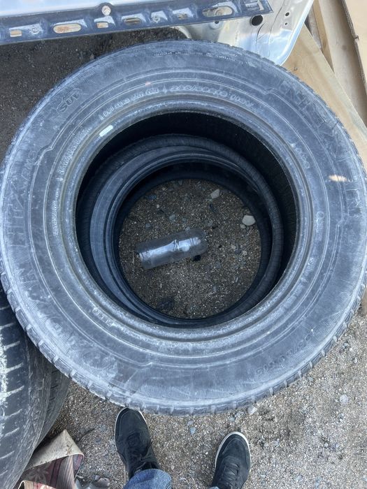 Продам шины nexen