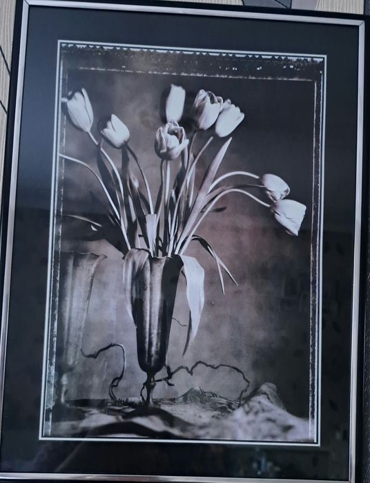 Продам картину каждая 2000тысячи