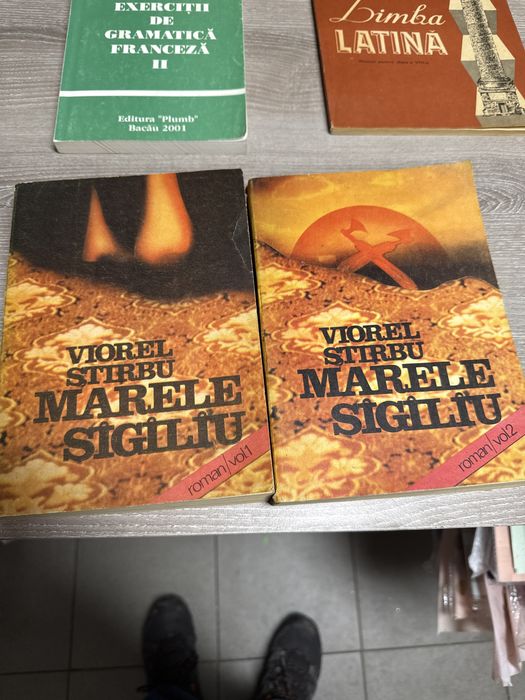 Marele sigiliu Viorel Stirbu