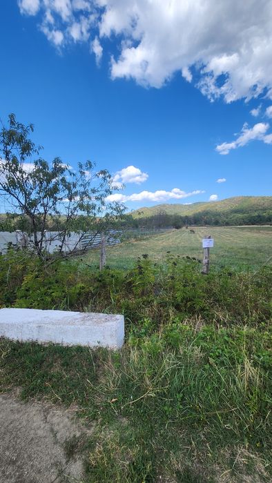 Balotesti, Mehedinti