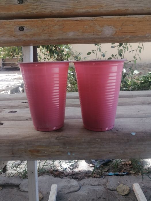 Одноразовая посуда