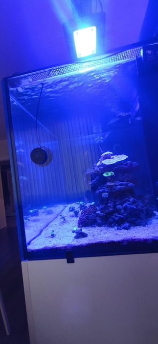 Морски аквариум red sea 300g2+