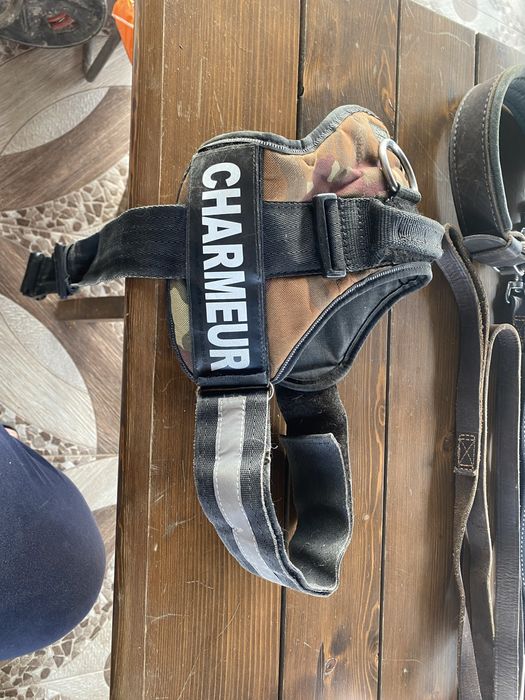 Ham Julius K-9 power-ham