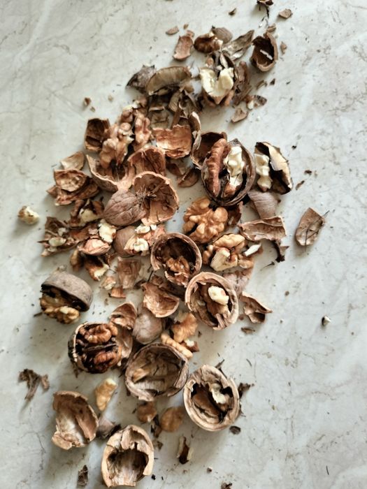 Грецкие орехи с дачи