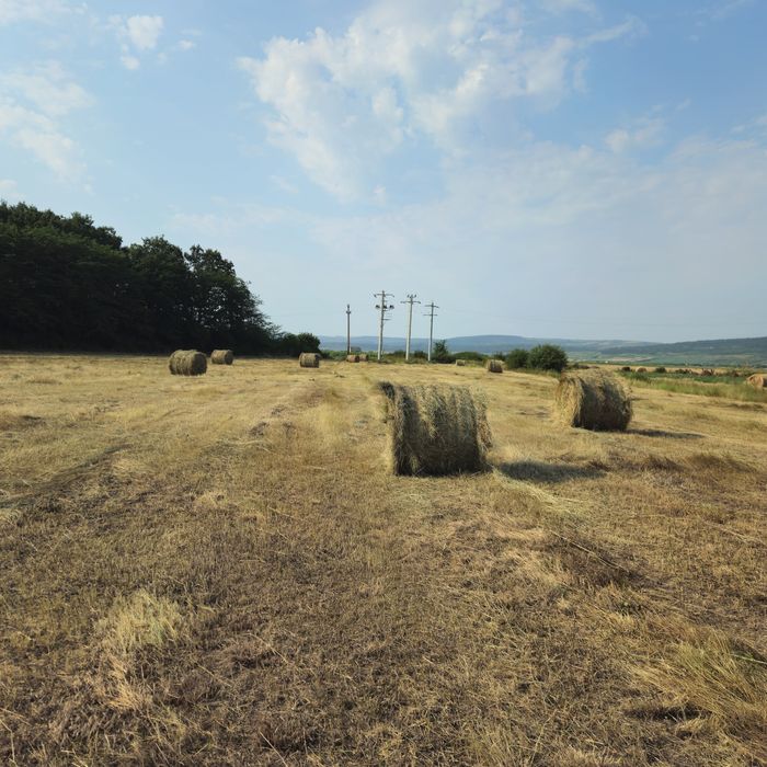 Vând baloti fan amestec cu lucerna.