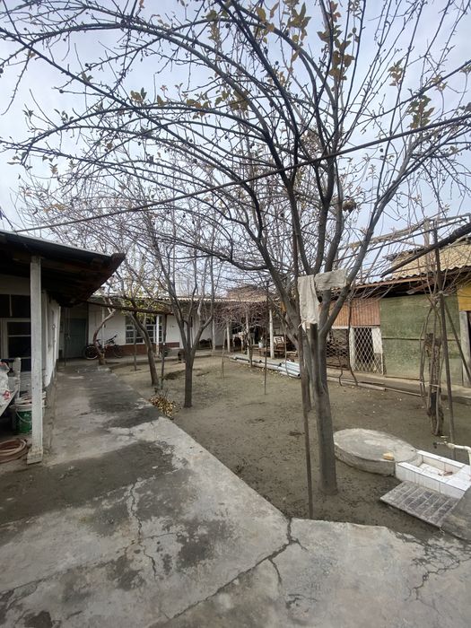 Srochna Hovli sotiladi