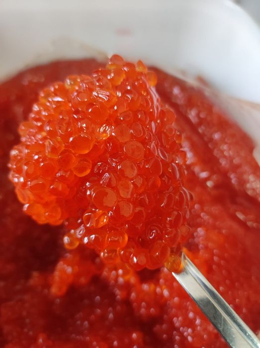 Красная Кета 55 тыс