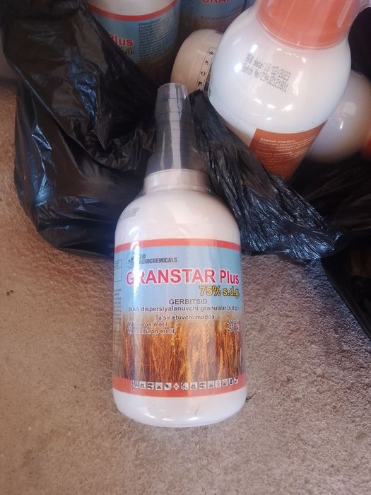 Клапа таракан пашша дори klapa tarakan passha dori