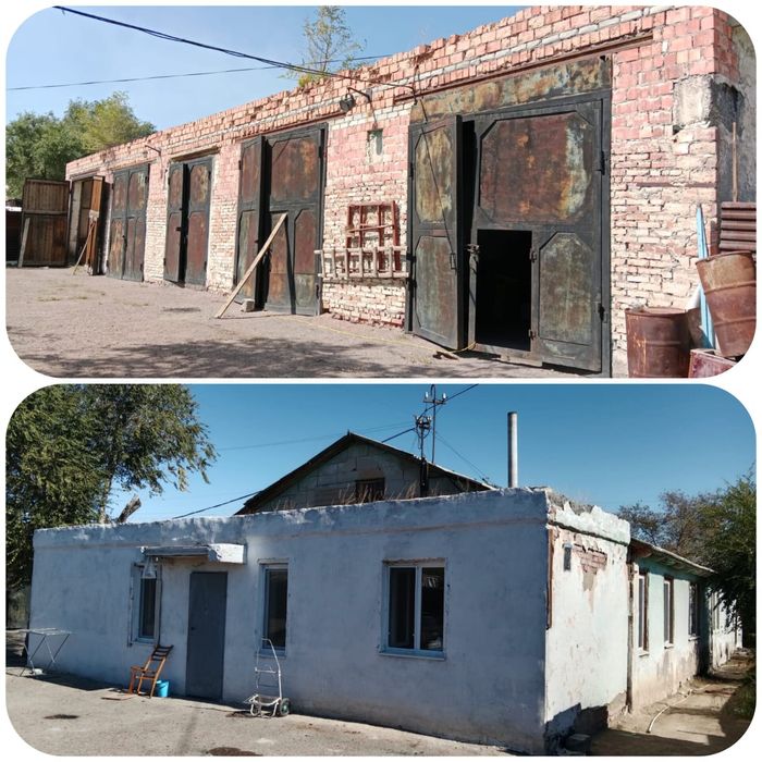 Колледж қыздарының сорып жатқан суреттері