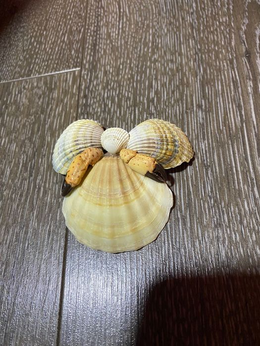 Scoica ingeras handmade