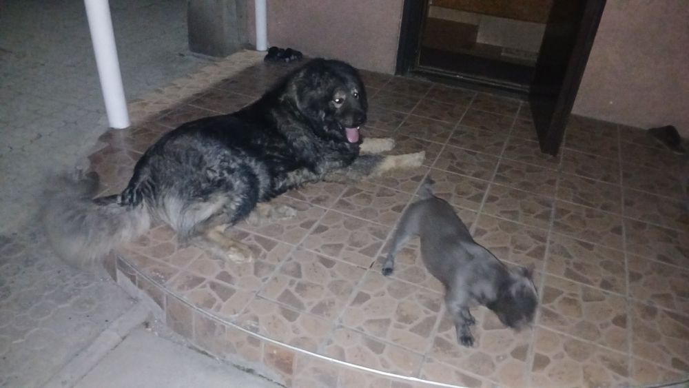 Вязка вязка вязка