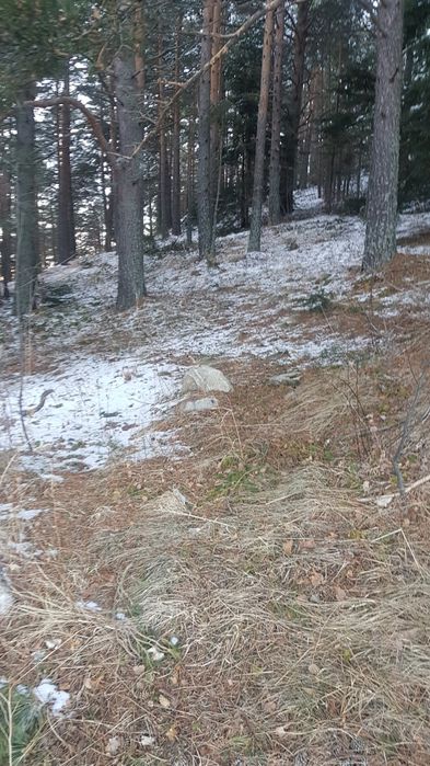 Продава парцел в курорта Паничище