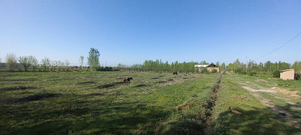 Srochni yer sotiladi