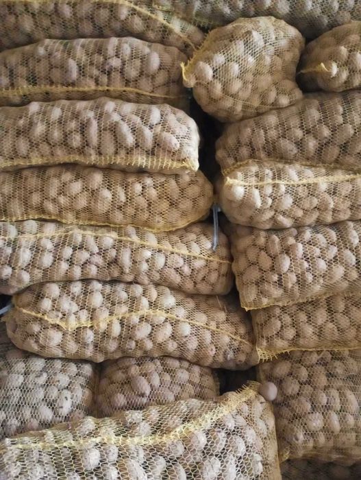 Продавам картофи