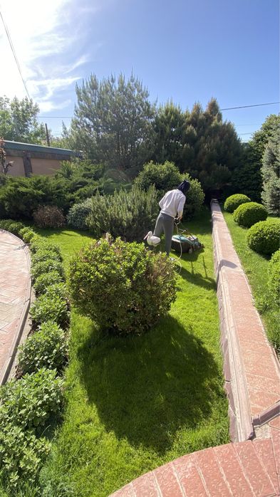 Газон Автополив.