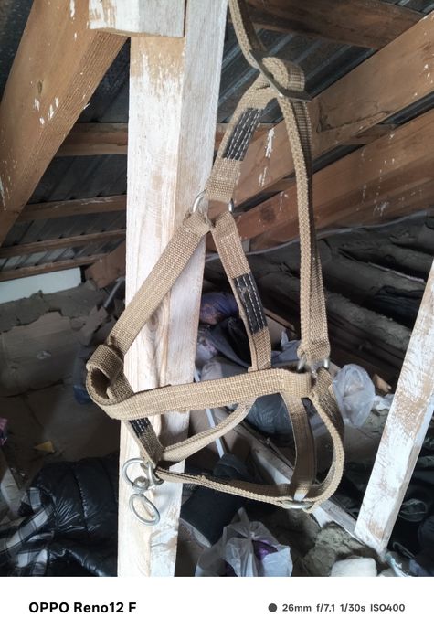 Ертокым жылуына .