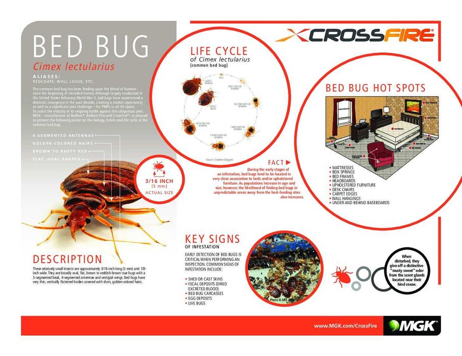 Профессиональное  средство от клопов мощный CROSS FIRE (USA)