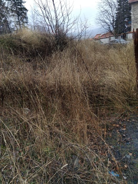 Продава парцел в гр.Сапарева баня