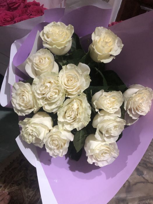 Цветы роз распродажа