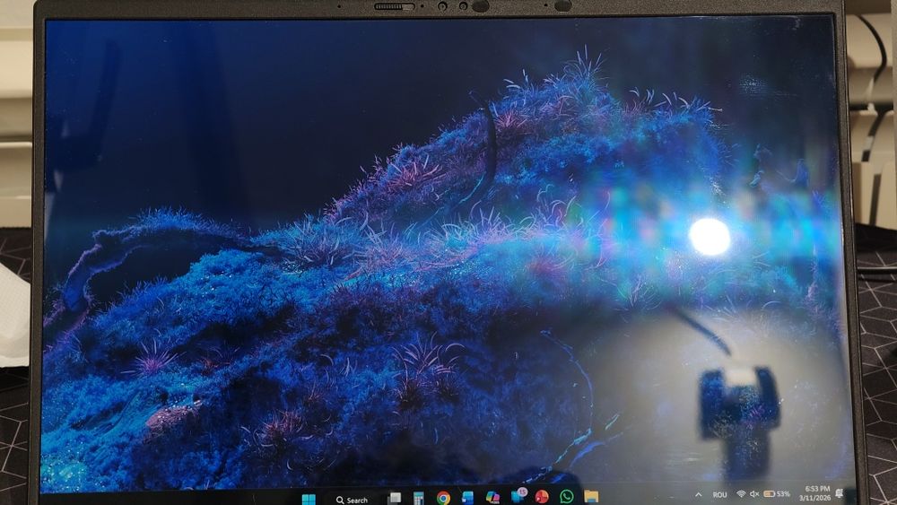 Asus ZenBook 14 OLED