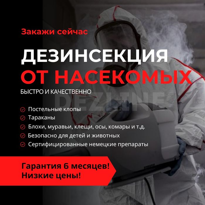 Уничтожение клопов С гарантией