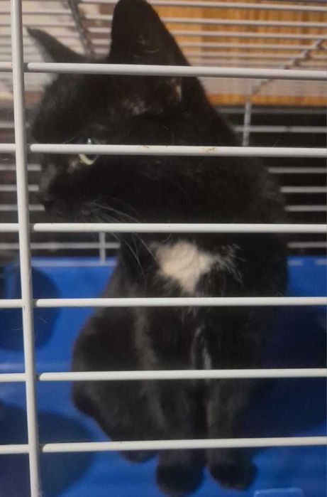 По дороге к счастью - девочка Юша