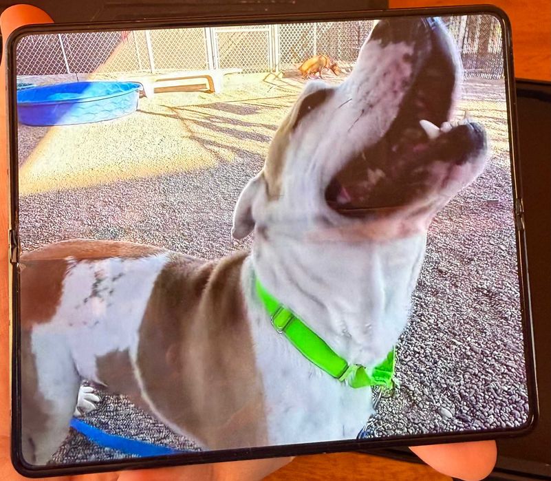 Samsung Galaxy Z Fold 5 SM-F946B/DS 512 GB, 12GB