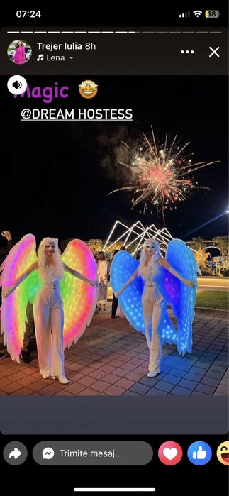 Artificii exterior pentru diferite evenimente Nunta Party majorate