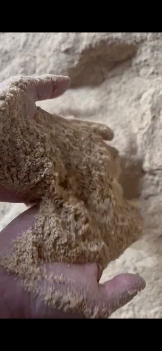 Отруби высокого качества