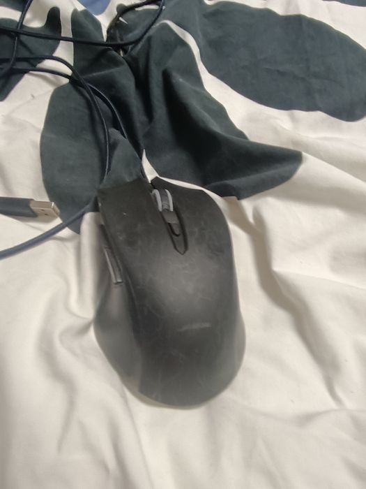 Mouse No Name lam primit