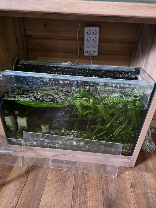 Продам аквариум самовывоз