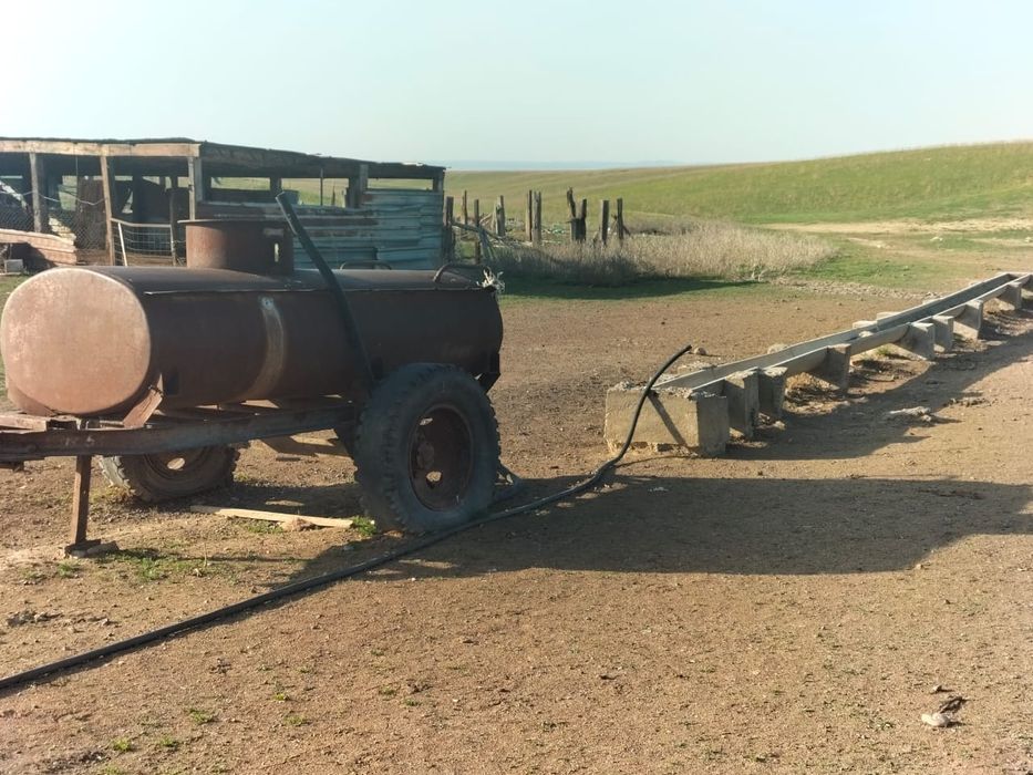 Фазенда, кашара 200га