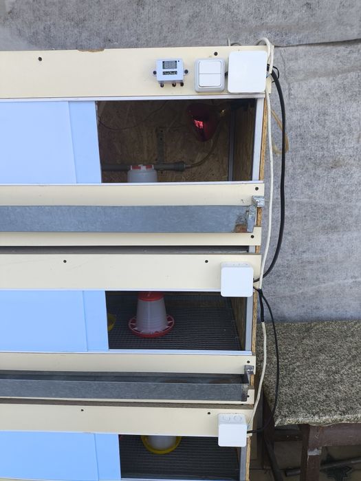 Брудер для цыплят