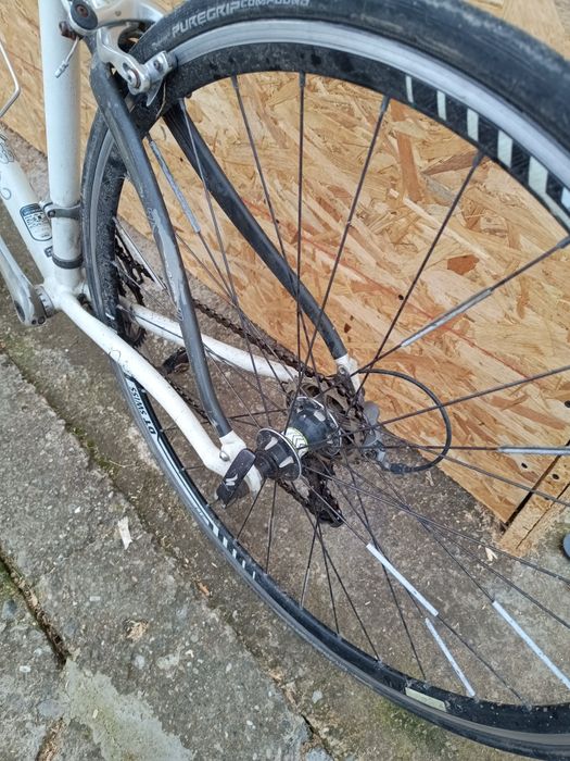 Cursiera specialized dolce