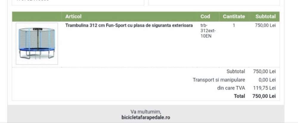 Trambulina copii/adulti (312 cm)