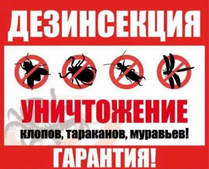 Уничтожение насекомых