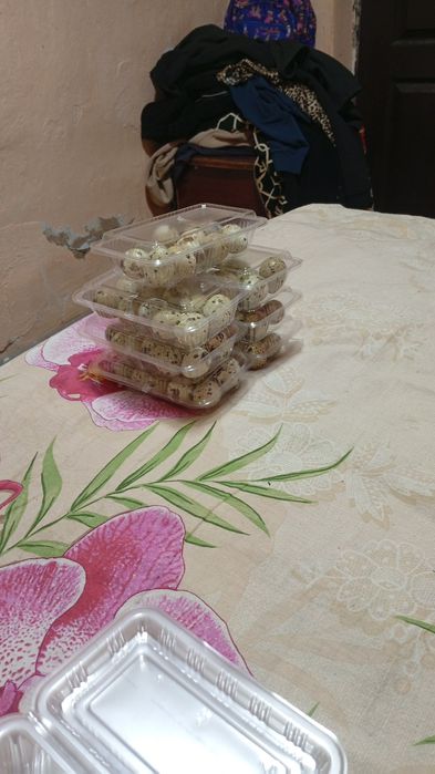 Перепелиные яйца.