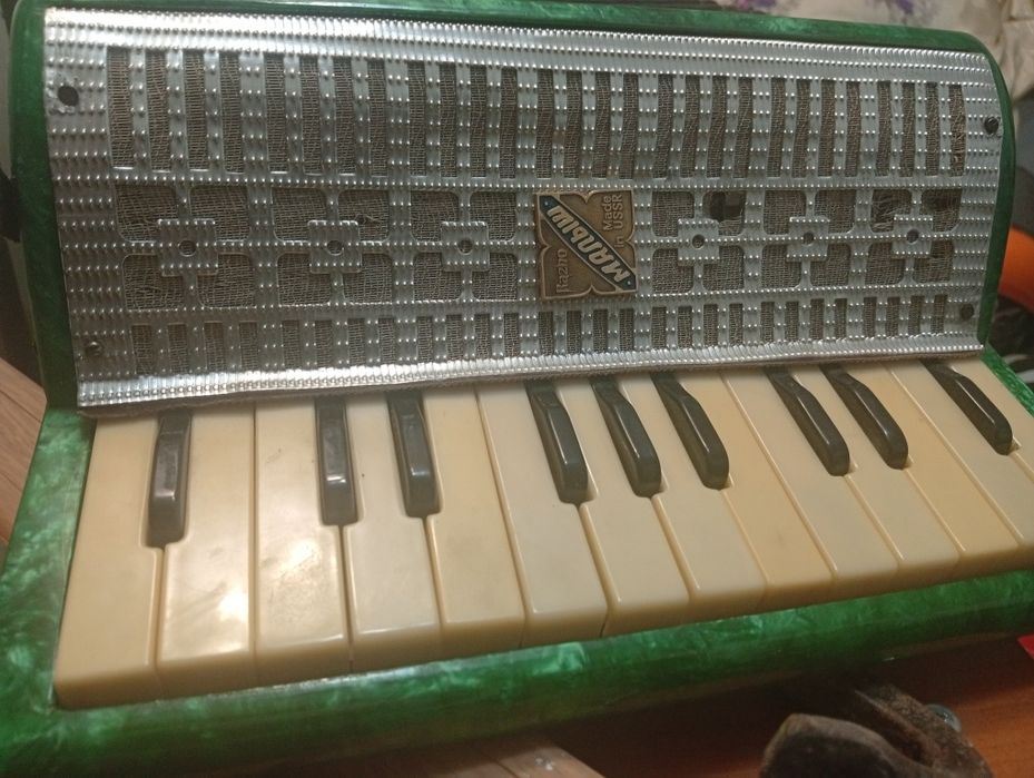 Acordeon copii   vechi