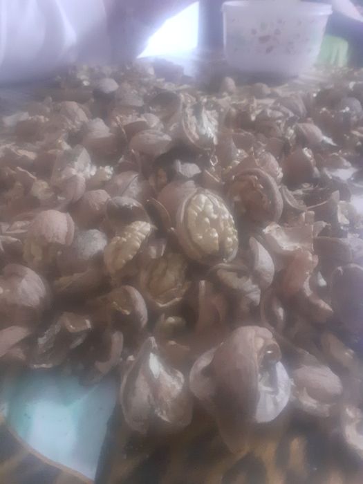 Vînd miez de nuca 2025 curat fara negru sau coji