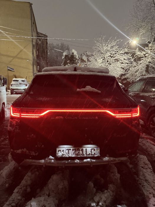 Byd song plus flagship