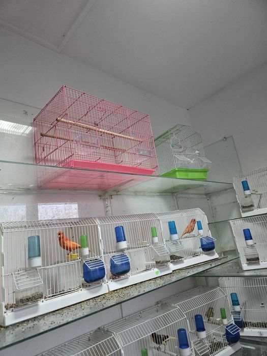 Colivii toate modelele noi si folosite