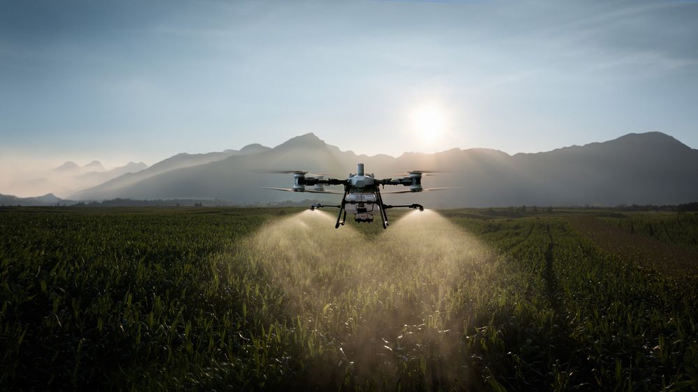 Prestări servicii cu drona agricolă DJI Agras T 100